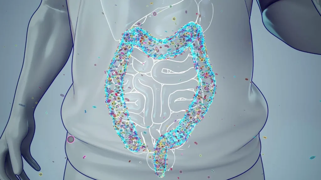 how to fix leaky gut