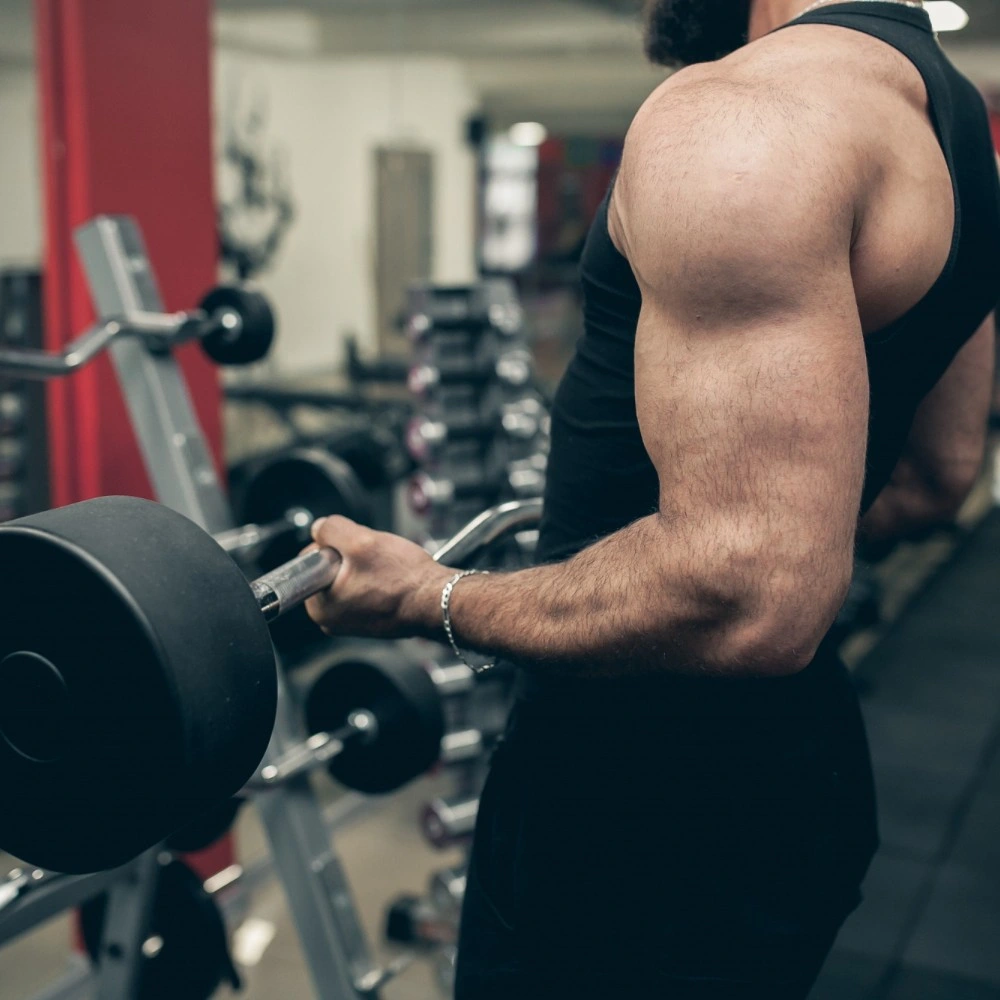 Full Week Workout Plan for Muscle Gain