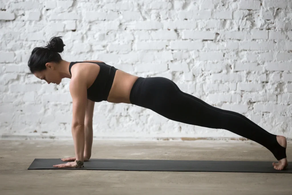 bodyweight fitness exercises