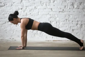 bodyweight fitness exercises
